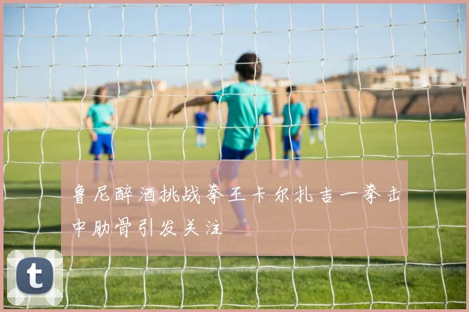 鲁尼醉酒挑战拳王卡尔扎吉一拳击中肋骨引发关注