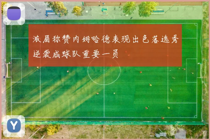 浓眉称赞内姆哈德表现出色落选秀逆袭成球队重要一员