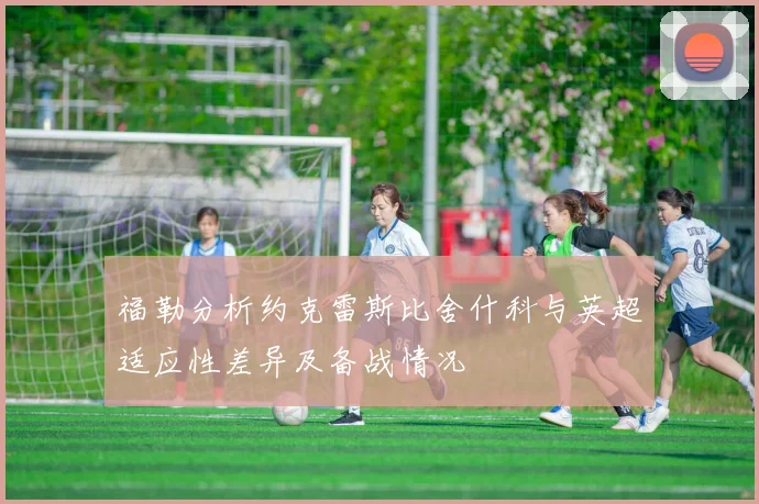 福勒分析约克雷斯比舍什科与英超适应性差异及备战情况